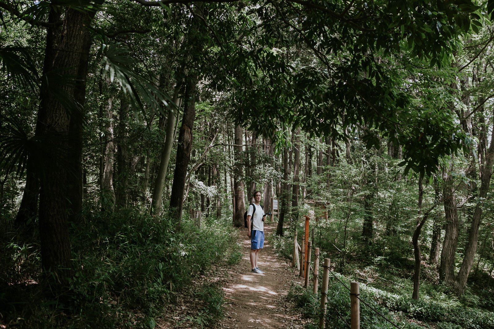 🌳 토토로의 숲 1호지 (토토로노모리 이치고우치)